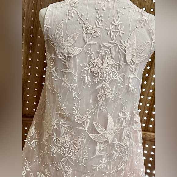 POL Blush Lace Tulle Embroidered Babydoll Dress | A-Line Mini | Size S - Picture 5 of 8